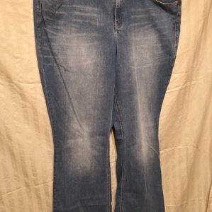 Lane Bryant Jeans